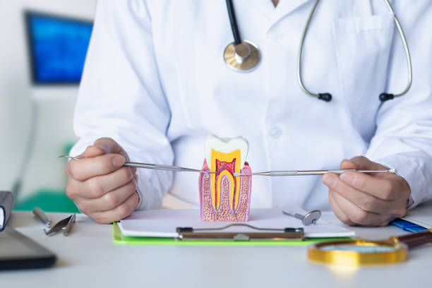 Best Tooth Infection Emergency Dentist  in St Paul, NE